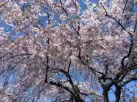 三明院(京都府)