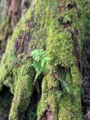 雄山神社中宮祈願殿(富山県)