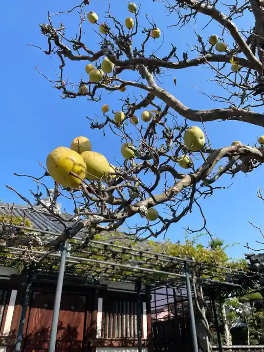 中宮寺(奈良県)