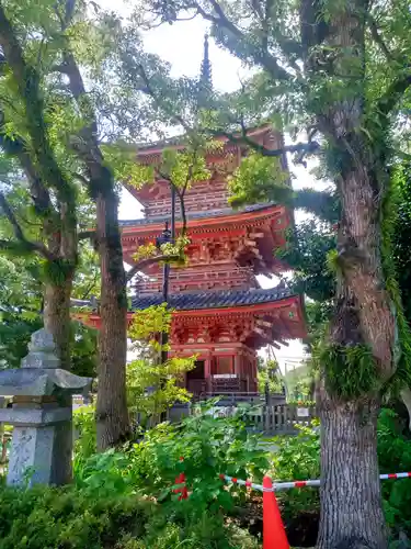 甚目寺の塔