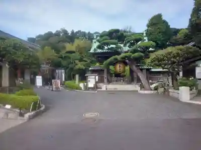 長谷寺(神奈川県)