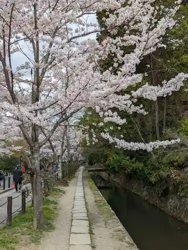 大豊神社の自然