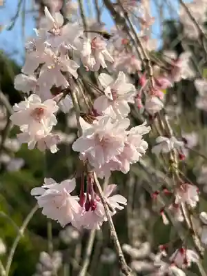 金蛇水神社(宮城県)