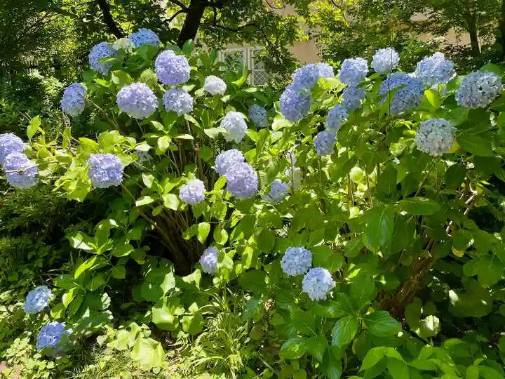 留魂祠(西郷隆盛碑)(東京都)