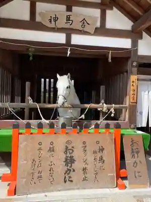 賀茂別雷神社（上賀茂神社）(京都府)