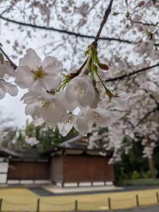 阿佐ヶ谷神明宮(東京都)