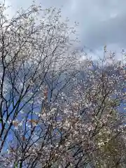 周防國総社宮 佐波神社の御朱印