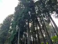 大宮温泉神社の自然
