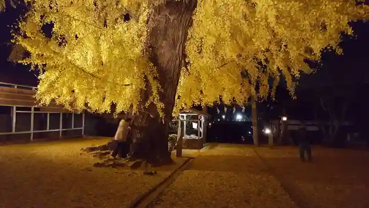 丹生酒殿神社の自然
