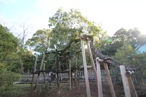 三嶋大社(静岡県)