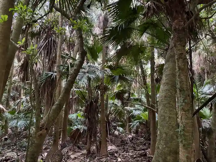 青島神社(青島神宮)(宮崎県)
