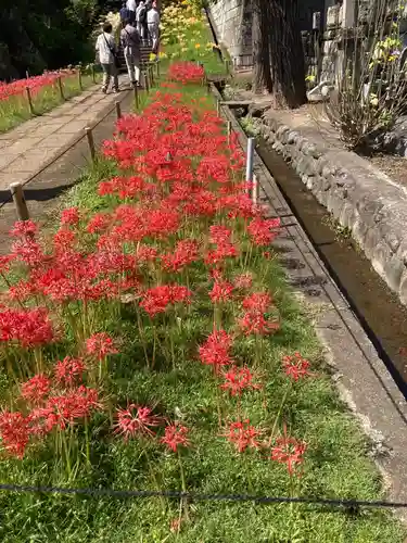 横浜　西方寺(神奈川県)