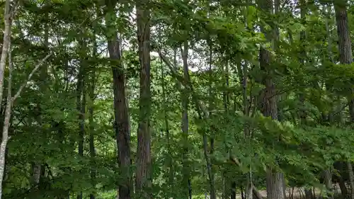 下居辺神社の自然