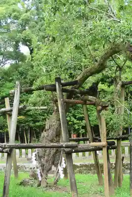 三嶋大社(静岡県)