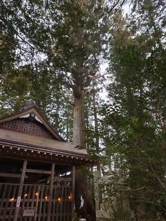 黒沼神社(福島県)