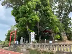 剣柄稲荷神社の自然