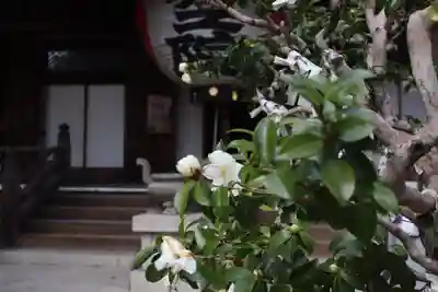 柳谷観音　楊谷寺のその他建物