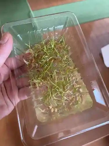 大鏑神社(福島県)