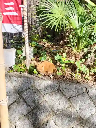 上宮天満宮(大阪府)