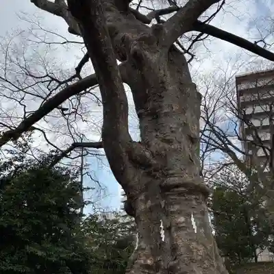 愛宕神社(福島県)
