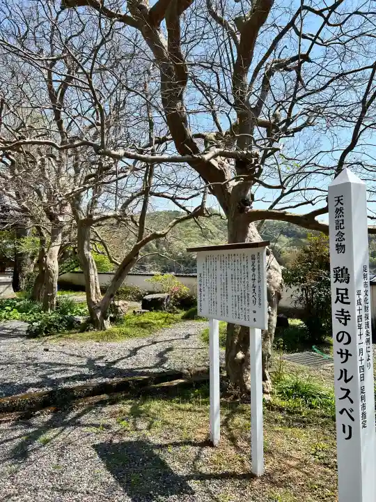 鶏足寺の{uncategorized: "未分類", other: "その他", undefined: "問題あり", building: "その他建物", grave: "お墓", sacred_gate: "鳥居", guardian: "狛犬", statue: "像", buddha: "仏像", history: "歴史", nature: "自然", garden: "庭園", animal: "動物", pagoda: "塔", temizu: "手水舎", mountain_gate: "山門・神門", sanctuary: "本殿・本堂", subordinate: "末社・摂社", art: "芸術", scenery: "景色", jizo: "地蔵", ema: "絵馬", goshuin: "御朱印", omikuji: "おみくじ", items: "授与品その他", amulet: "お守り", goshuincho: "御朱印帳", eats: "食事", festival: "お祭り", votive_dance: "神楽", shichigosan: "七五三参", wedding: "結婚式", experience: "体験その他", initially: "初詣", around: "周辺", anti_infection: "感染症対策"}
