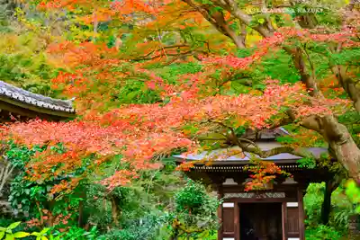 円覚寺(神奈川県)