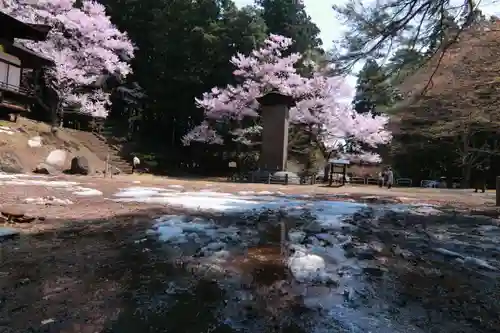 土津神社｜こどもと出世の神さまの景色