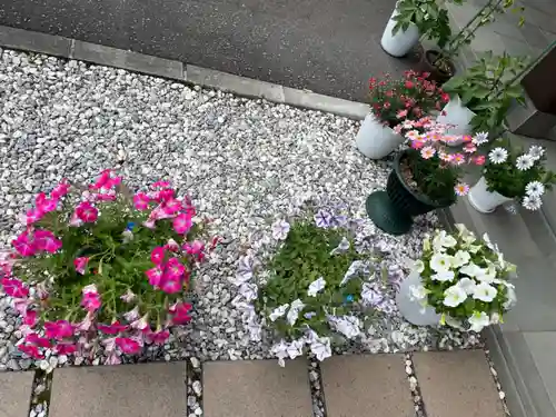 伊達神社(北海道)