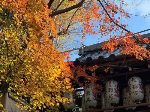 高台寺（高台寿聖禅寺・高臺寺）のその他建物