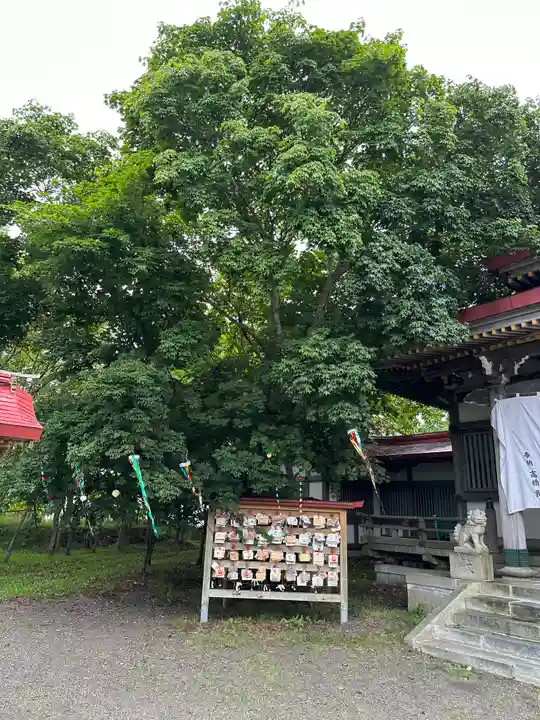 釧路一之宮 厳島神社の自然