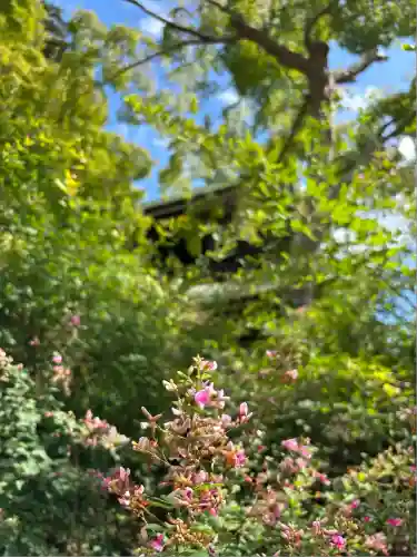 村松虚空蔵堂（日高寺）(茨城県)