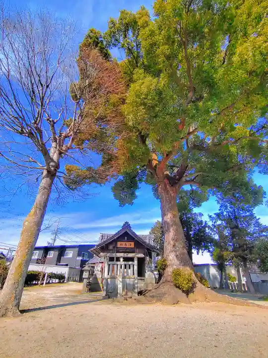 津島社(天王町)の自然