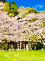 金獄神社の自然