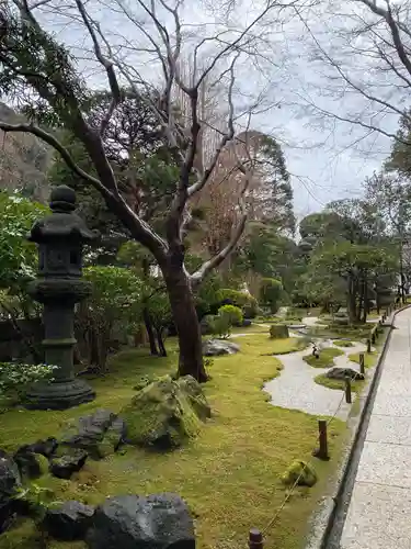 報国寺の庭園