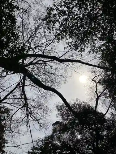 神崎神社(千葉県)