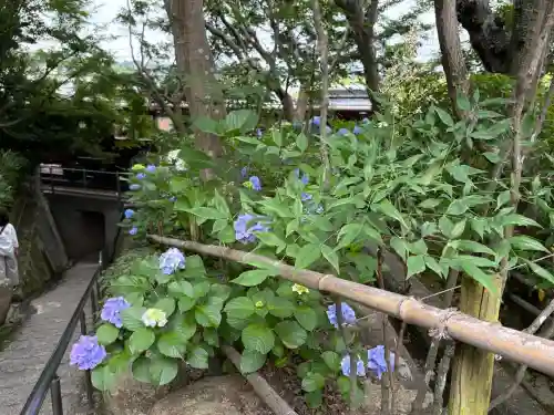 頼光寺(兵庫県)