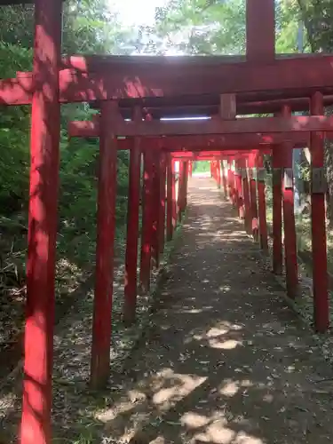 曽野稲荷神社の鳥居