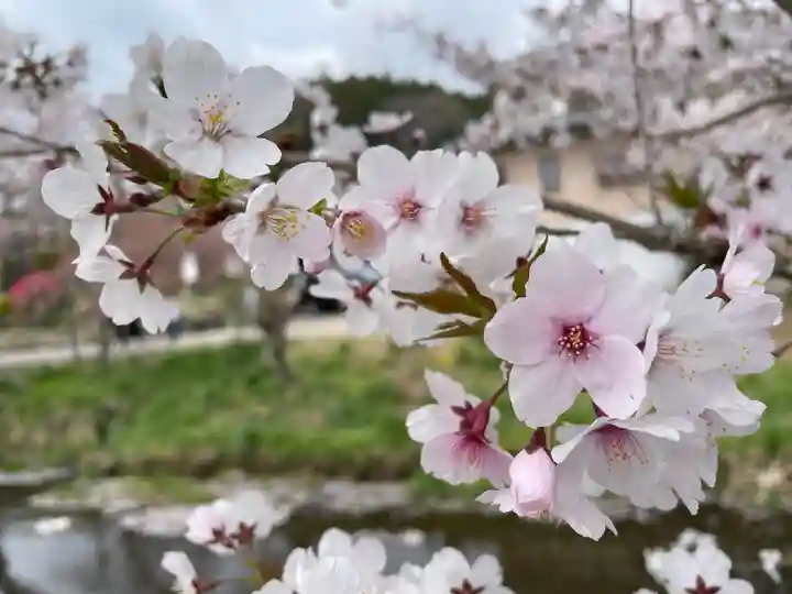 東円寺(山梨県)