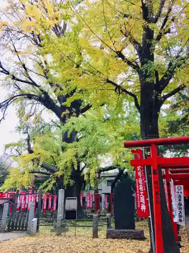 鬼子母神堂　(法明寺）の自然