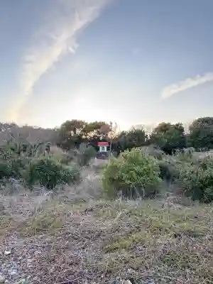 龍王神社の{uncategorized: "未分類", other: "その他", undefined: "問題あり", building: "その他建物", grave: "お墓", sacred_gate: "鳥居", guardian: "狛犬", statue: "像", buddha: "仏像", history: "歴史", nature: "自然", garden: "庭園", animal: "動物", pagoda: "塔", temizu: "手水舎", mountain_gate: "山門・神門", sanctuary: "本殿・本堂", subordinate: "末社・摂社", art: "芸術", scenery: "景色", jizo: "地蔵", ema: "絵馬", goshuin: "御朱印", omikuji: "おみくじ", items: "授与品その他", amulet: "お守り", goshuincho: "御朱印帳", eats: "食事", festival: "お祭り", votive_dance: "神楽", shichigosan: "七五三参", wedding: "結婚式", experience: "体験その他", initially: "初詣", around: "周辺", anti_infection: "感染症対策"}