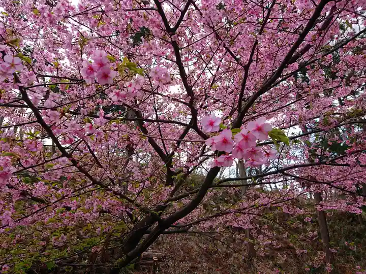 永谷天満宮の自然