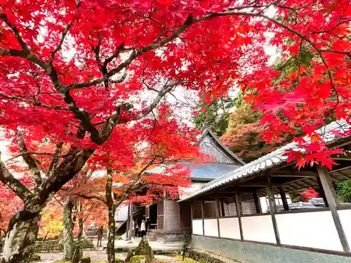 永源寺(滋賀県)