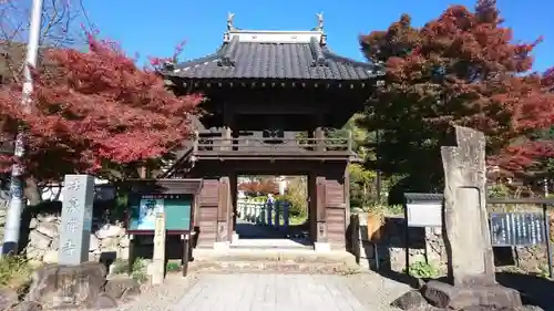 法泉寺の山門