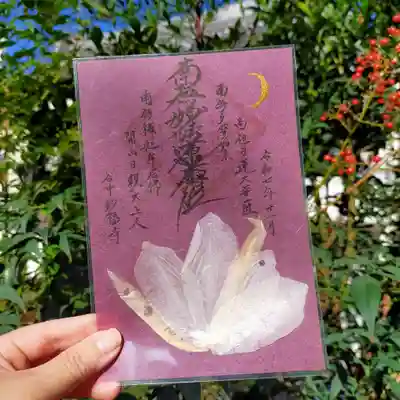 谷中 妙福寺の御朱印