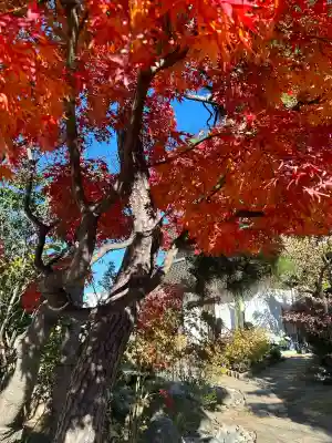 法輪寺(東京都)