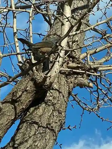阿邪訶根神社(福島県)