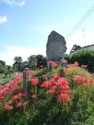 金刀比羅神社の周辺