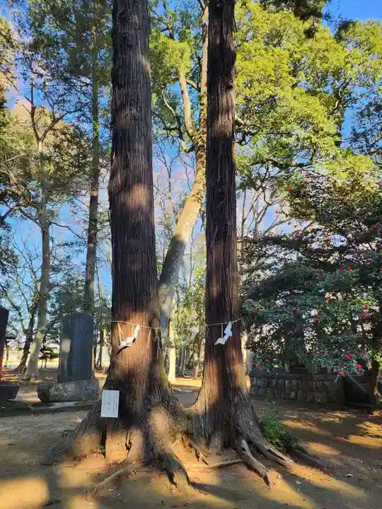 東蕗田天満社(茨城県)