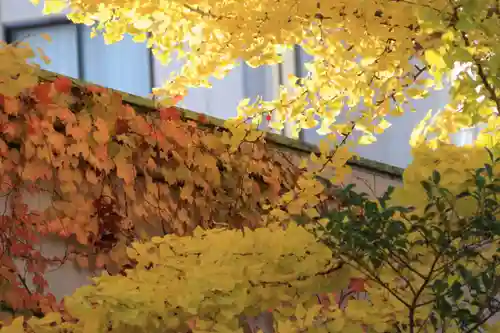 阿邪訶根神社の庭園