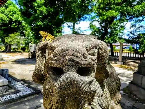 長良八劔社の狛犬